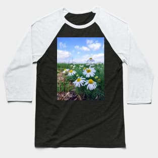 Camomile Field Baseball T-Shirt